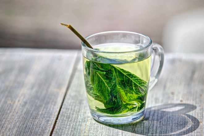 Green tea: boost senior immunity