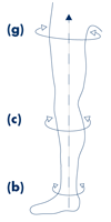 General Guidelines