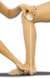Calf Length